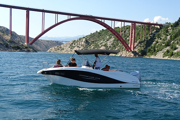 Barracuda 545 (130 HP)